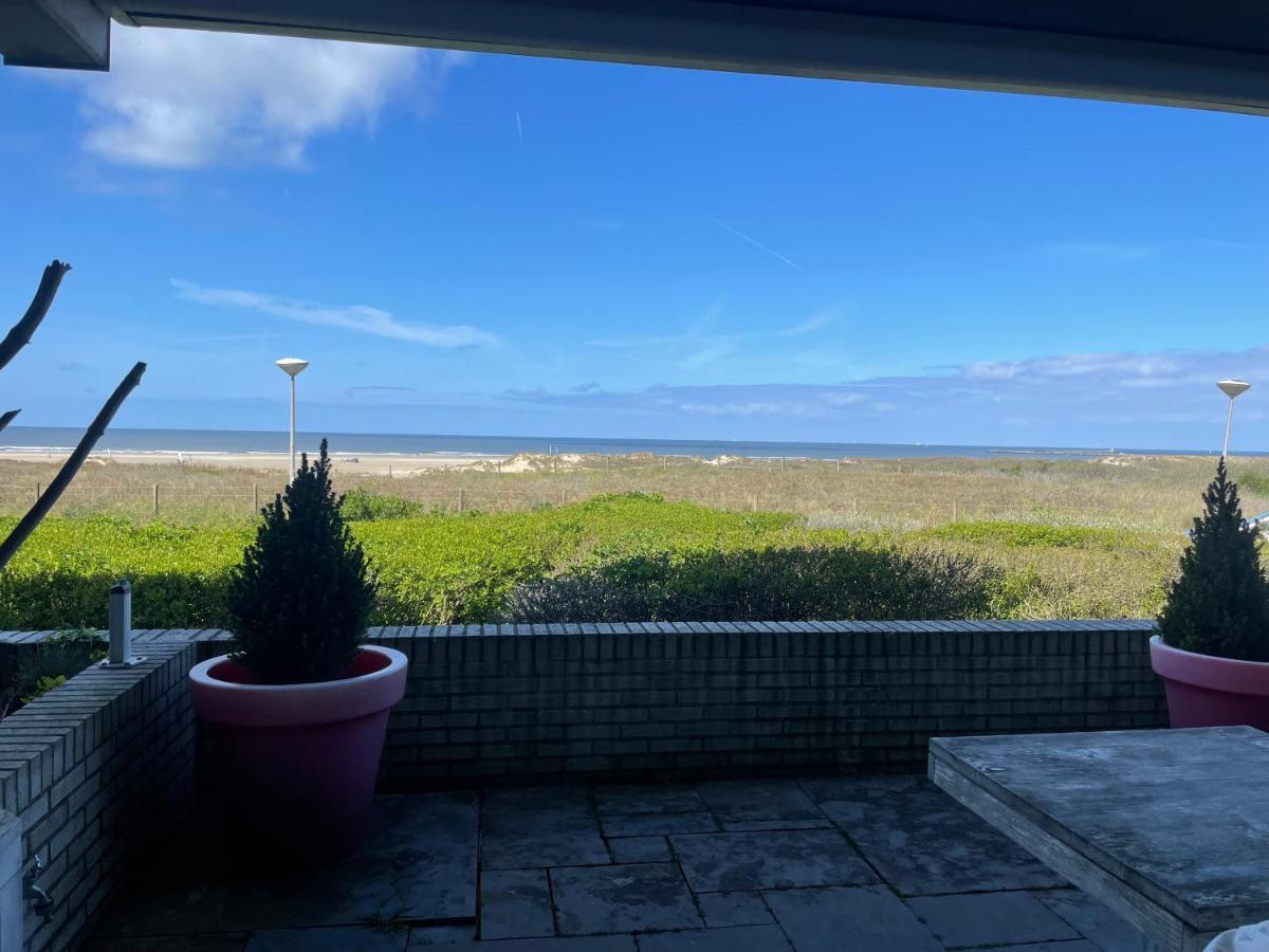 Vitamine Zee IJmuiden Exteriör bild